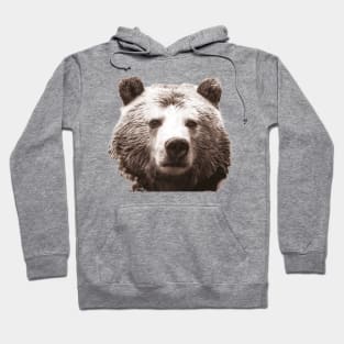 Bear Hoodie